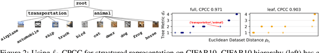 Figure 2 for Learning Structured Representations with Hyperbolic Embeddings