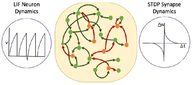 Figure 2 for Brain-Inspired Spiking Neural Network for Online Unsupervised Time Series Prediction