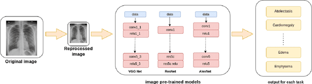 Figure 3 for DeepChest: Dynamic Gradient-Free Task Weighting for Effective Multi-Task Learning in Chest X-ray Classification