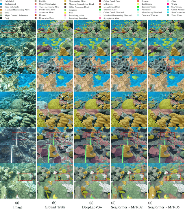 Figure 3 for The Coralscapes Dataset: Semantic Scene Understanding in Coral Reefs