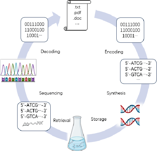 Figure 2 for ADRS-CNet: An adaptive models of dimensionality reduction methods for DNA storage clustering algorithms