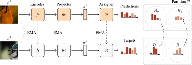 Figure 1 for Representation Learning via Consistent Assignment of Views over Random Partitions