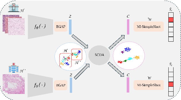 Figure 1 for Enhancing Whole Slide Image Classification through Supervised Contrastive Domain Adaptation