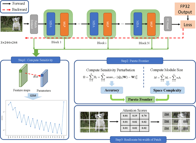 Figure 1 for Patch-wise Mixed-Precision Quantization of Vision Transformer
