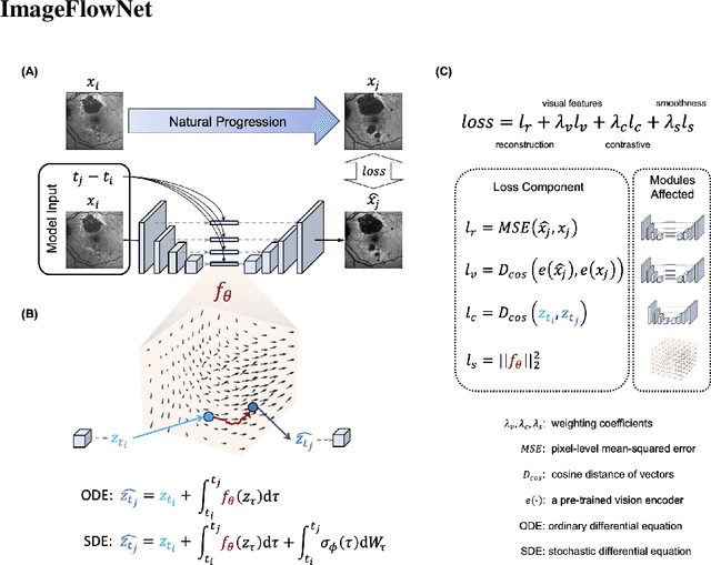 Figure 3 for ImageFlowNet: Forecasting Multiscale Trajectories of Disease Progression with Irregularly-Sampled Longitudinal Medical Images