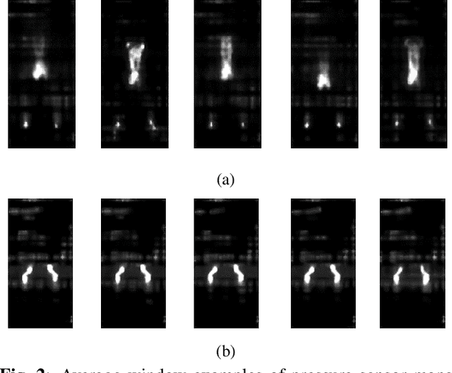Figure 3 for A Novel Local-Global Feature Fusion Framework for Body-weight Exercise Recognition with Pressure Mapping Sensors