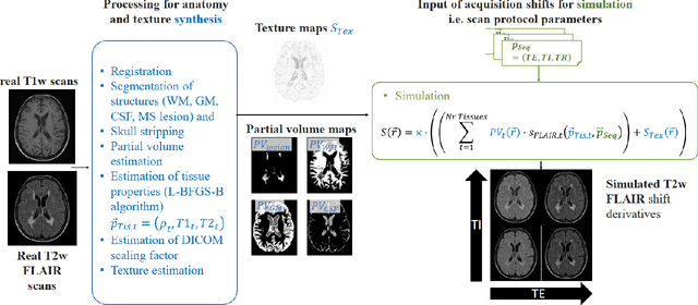 Figure 1 for Simulation of acquisition shifts in T2 Flair MR images to stress test AI segmentation networks