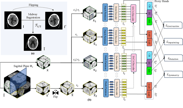 Figure 3 for Symmetry Awareness Encoded Deep Learning Framework for Brain Imaging Analysis