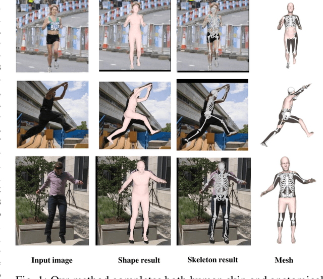 Figure 1 for EA-RAS: Towards Efficient and Accurate End-to-End Reconstruction of Anatomical Skeleton