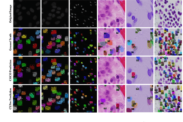 Figure 2 for CUPre: Cross-domain Unsupervised Pre-training for Few-Shot Cell Segmentation