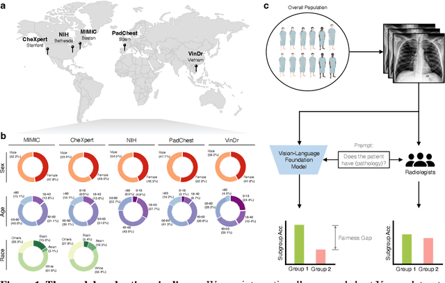 Figure 1 for Demographic Bias of Expert-Level Vision-Language Foundation Models in Medical Imaging