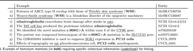 Figure 4 for BELB: a Biomedical Entity Linking Benchmark