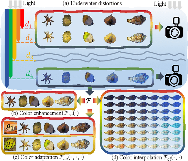 Figure 1 for Underwater Organism Color Enhancement via Color Code Decomposition, Adaptation and Interpolation