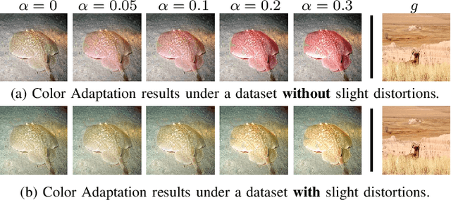 Figure 4 for Underwater Organism Color Enhancement via Color Code Decomposition, Adaptation and Interpolation