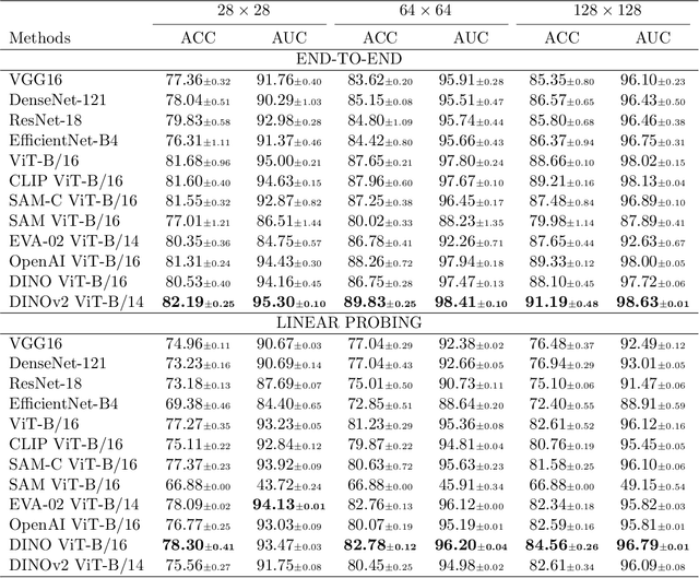 Figure 3 for Rethinking Foundation Models for Medical Image Classification through a Benchmark Study on MedMNIST