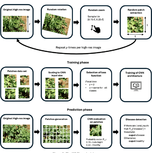Figure 3 for Small data deep learning methodology for in-field disease detection