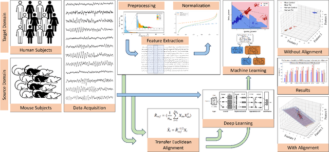 Figure 1 for Reducing Intraspecies and Interspecies Covariate Shift in Traumatic Brain Injury EEG of Humans and Mice Using Transfer Euclidean Alignment