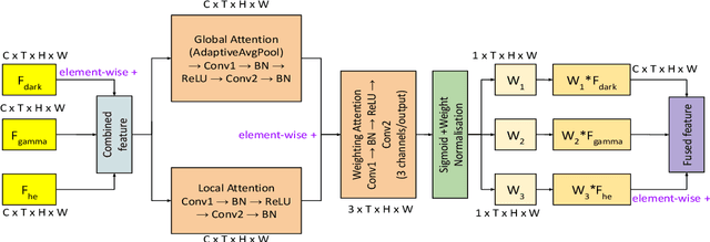 Figure 3 for MD-BERT: Action Recognition in Dark Videos via Dynamic Multi-Stream Fusion and Temporal Modeling