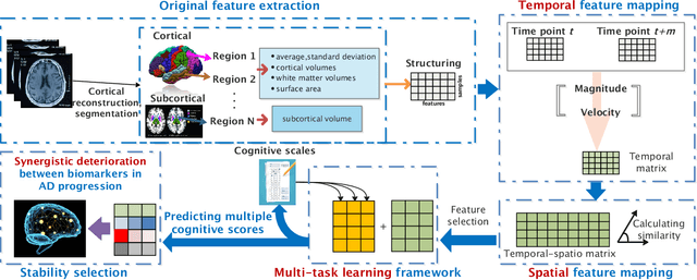 Figure 1 for Spatio-Temporal Similarity Measure based Multi-Task Learning for Predicting Alzheimer's Disease Progression using MRI Data