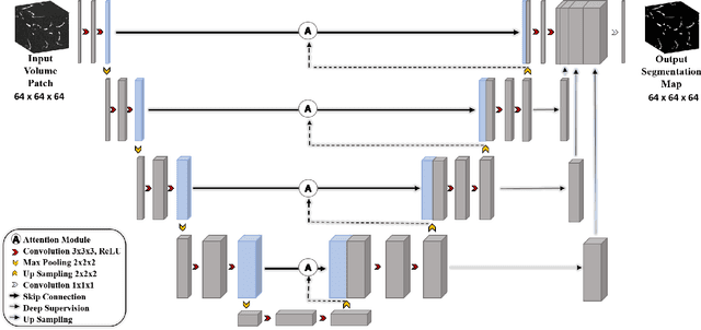Figure 3 for CV-Attention UNet: Attention-based UNet for 3D Cerebrovascular Segmentation of Enhanced TOF-MRA Images