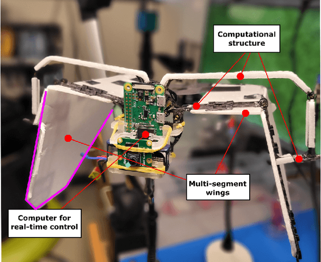 Figure 1 for Hovering Control of Flapping Wings in Tandem with Multi-Rotors