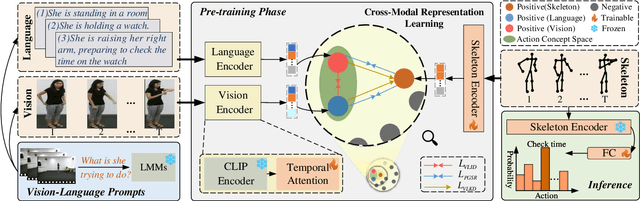 Figure 2 for Vision-Language Meets the Skeleton: Progressively Distillation with Cross-Modal Knowledge for 3D Action Representation Learning
