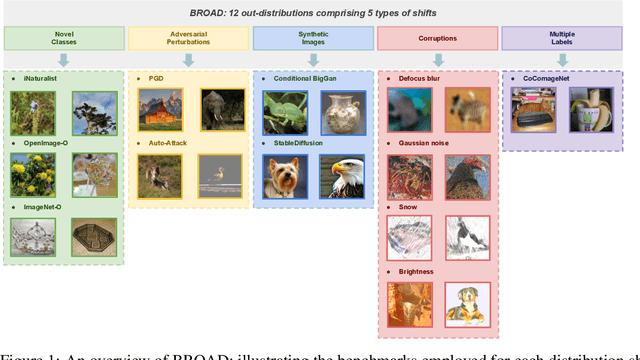 Figure 1 for Expecting The Unexpected: Towards Broad Out-Of-Distribution Detection