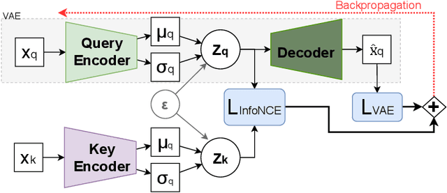 Figure 2 for CR-VAE: Contrastive Regularization on Variational Autoencoders for Preventing Posterior Collapse