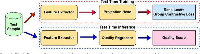 Figure 1 for Test Time Adaptation for Blind Image Quality Assessment