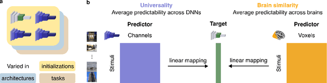 Figure 1 for Universal dimensions of visual representation