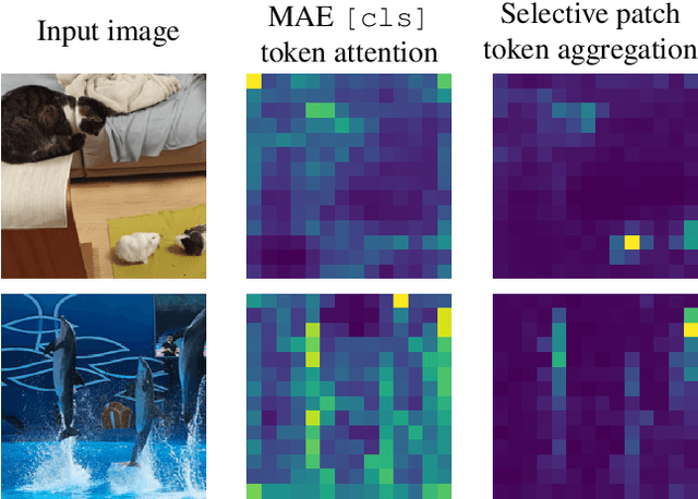 Figure 3 for Beyond [cls]: Exploring the true potential of Masked Image Modeling representations