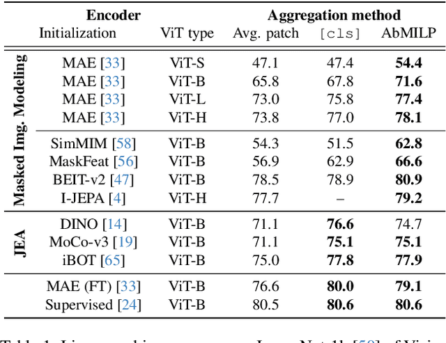 Figure 2 for Beyond [cls]: Exploring the true potential of Masked Image Modeling representations