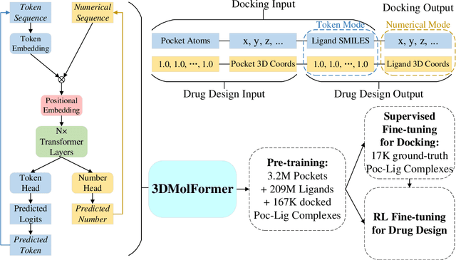 Figure 4 for 3DMolFormer: A Dual-channel Framework for Structure-based Drug Discovery