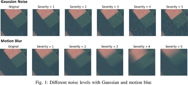 Figure 1 for On-board Satellite Image Classification for Earth Observation: A Comparative Study of Pre-Trained Vision Transformer Models