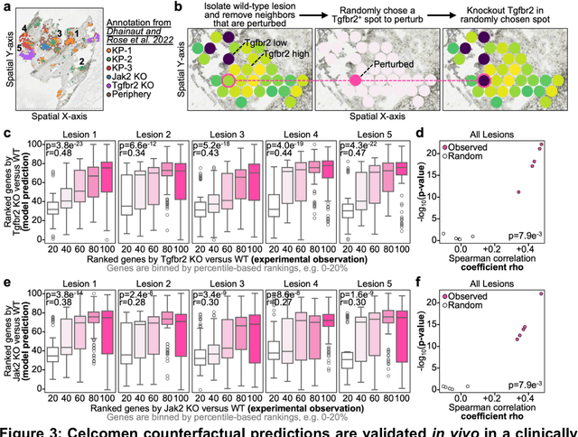 Figure 3 for Celcomen: spatial causal disentanglement for single-cell and tissue perturbation modeling