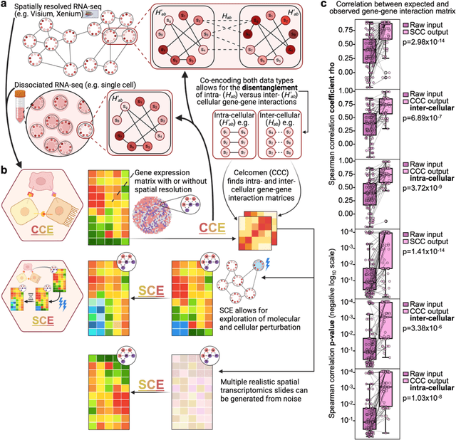 Figure 1 for Celcomen: spatial causal disentanglement for single-cell and tissue perturbation modeling