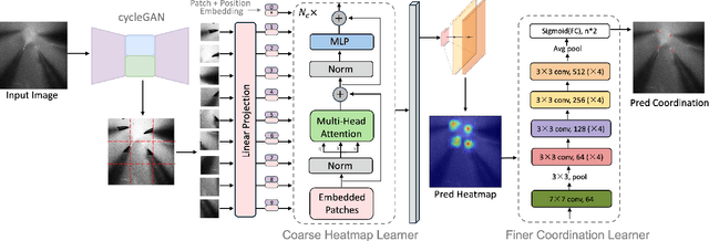Figure 2 for Coarse-to-Fine Learning for Multi-Pipette Localisation in Robot-Assisted In Vivo Patch-Clamp