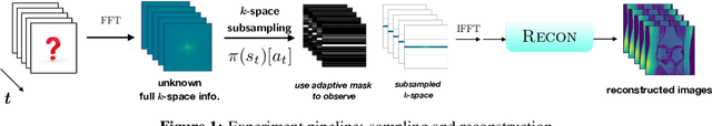 Figure 1 for Reinforcement Learning for Sampling on Temporal Medical Imaging Sequences