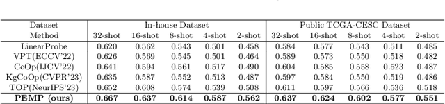 Figure 2 for Pathology-knowledge Enhanced Multi-instance Prompt Learning for Few-shot Whole Slide Image Classification