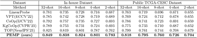 Figure 4 for Pathology-knowledge Enhanced Multi-instance Prompt Learning for Few-shot Whole Slide Image Classification