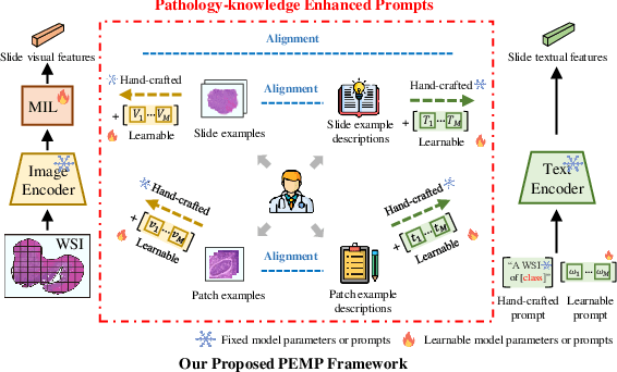 Figure 1 for Pathology-knowledge Enhanced Multi-instance Prompt Learning for Few-shot Whole Slide Image Classification