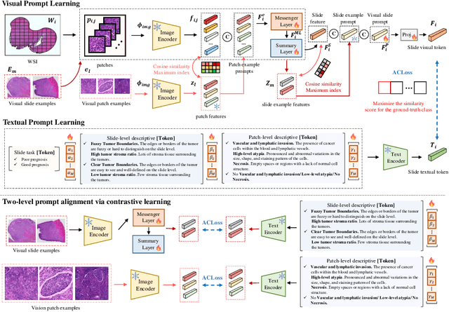 Figure 3 for Pathology-knowledge Enhanced Multi-instance Prompt Learning for Few-shot Whole Slide Image Classification