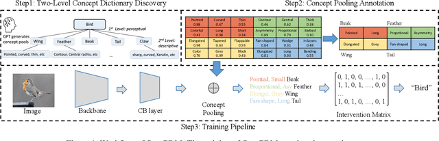 Figure 1 for Eliminating Information Leakage in Hard Concept Bottleneck Models with Supervised, Hierarchical Concept Learning