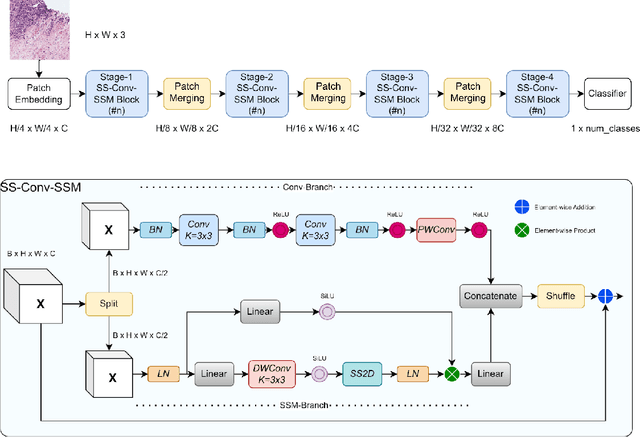 Figure 4 for Classification of Gleason Grading in Prostate Cancer Histopathology Images Using Deep Learning Techniques: YOLO, Vision Transformers, and Vision Mamba