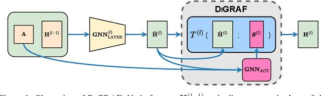 Figure 1 for DiGRAF: Diffeomorphic Graph-Adaptive Activation Function