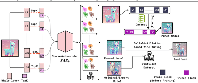 Figure 2 for FineScope : Precision Pruning for Domain-Specialized Large Language Models Using SAE-Guided Self-Data Cultivation