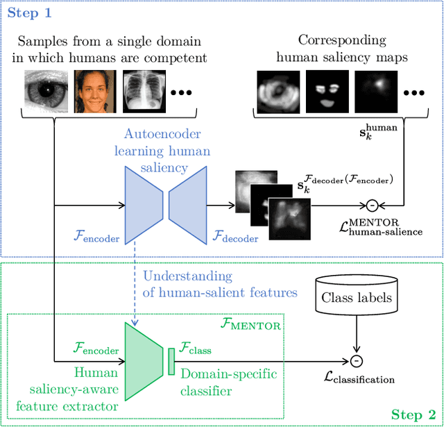 Figure 1 for MENTOR: Human Perception-Guided Pretraining for Iris Presentation Detection