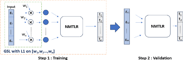 Figure 1 for Advancing Gene Selection in Oncology: A Fusion of Deep Learning and Sparsity for Precision Gene Selection