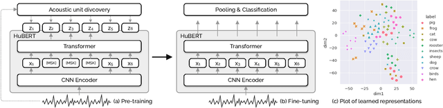 Figure 1 for AVES: Animal Vocalization Encoder based on Self-Supervision