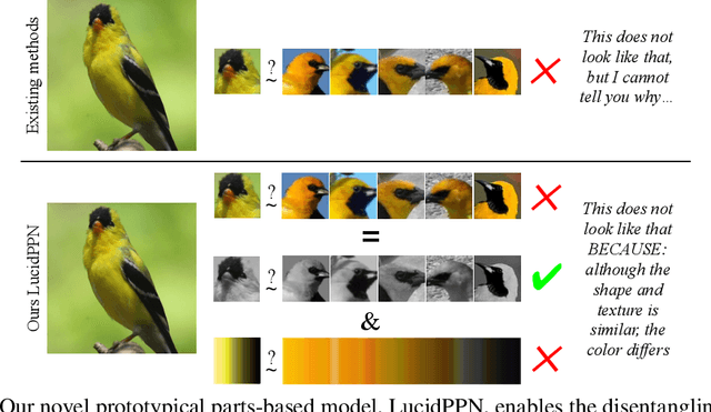 Figure 1 for LucidPPN: Unambiguous Prototypical Parts Network for User-centric Interpretable Computer Vision